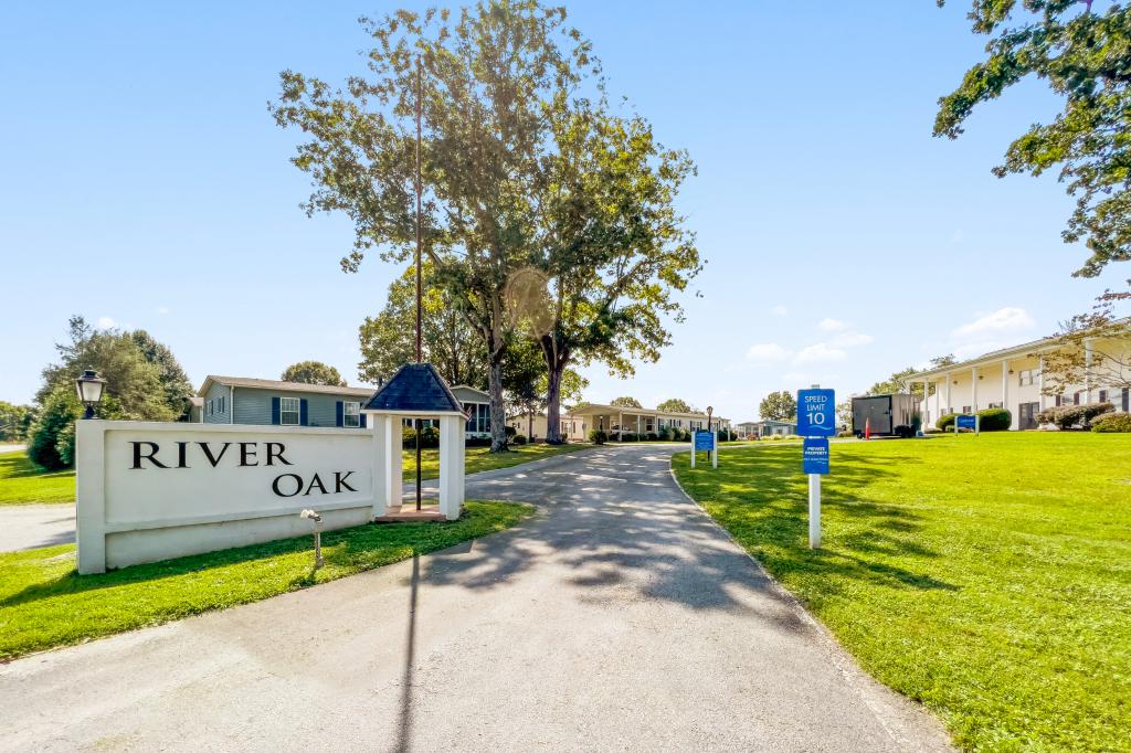 River Oak
