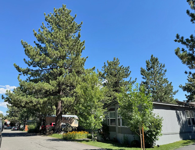 Sierra Holiday