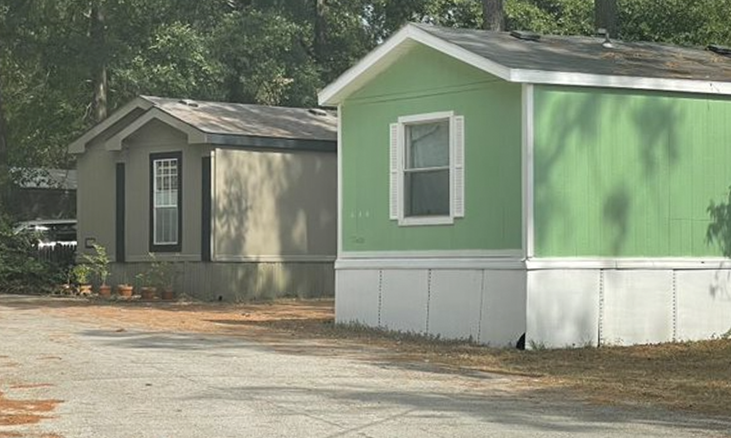 Splendora Pines