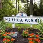 Mullica Woods