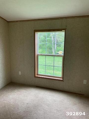 2016 Colony Single Wide - single wide - in Plattsburgh, NY - photo 15 of 15