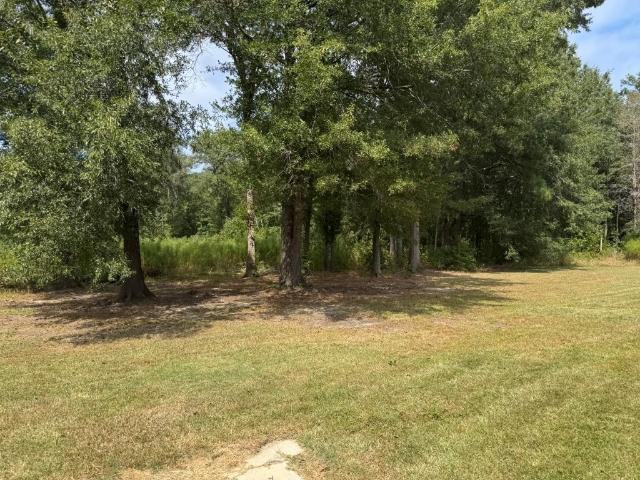 2020 Cmh Double Wide - double wide - in Lumberton, NC - photo 3 of 15