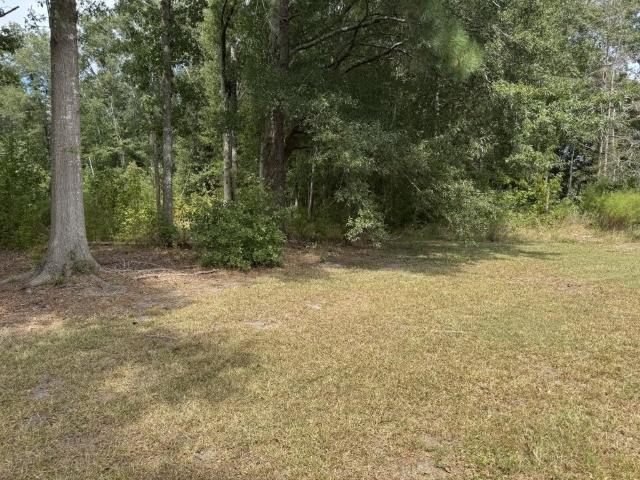 2020 Cmh Double Wide - double wide - in Lumberton, NC - photo 6 of 15