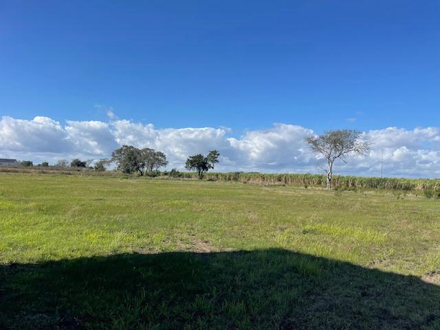 2020 Champion Single Wide - single wide - in New Iberia, LA - photo 9 of 15
