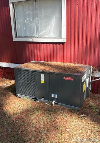1976 Schult Single Wide - single wide - in Trinity, TX - photo 3 of 6