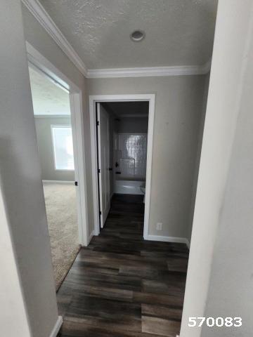 2023 Champion Double Wide - double wide - in Meridian, MS - photo 14 of 15