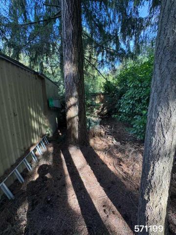 1975 Bonpr Double Wide - double wide - in Puyallup, WA - photo 3 of 10