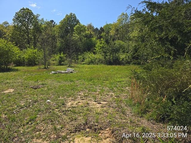 2022 Southern Energy Double Wide - double wide - in Cave City, AR - photo 2 of 15