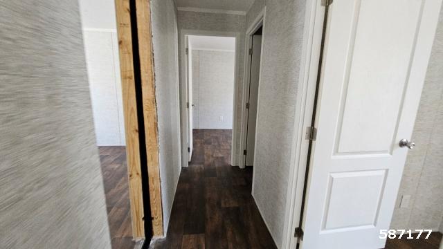 2024 Hamilton Double Wide - double wide - in Columbus, MS - photo 13 of 15