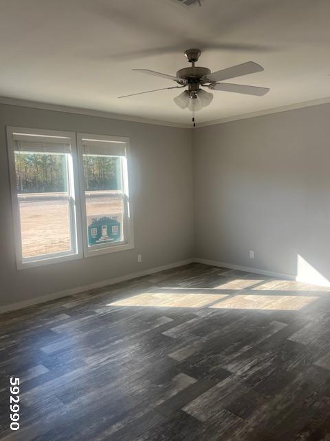 2024 Champion Double Wide - double wide - in Brookeland, TX - photo 5 of 15