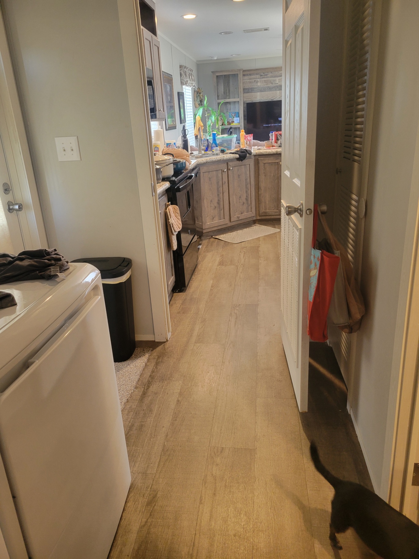 2 bed 2 bath - single wide - in Manvel, TX - photo 7 of 13