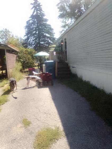 💥NEW PRICE💥1999 3/2 Single wide | Located in a park | Cash sale - single wide - in Adrian, MI - photo 15 of 15