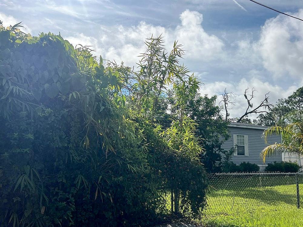 2 Bed 2 Bath 1979 Mobile Home - single wide - in North Fort Myers, FL - photo 5 of 12