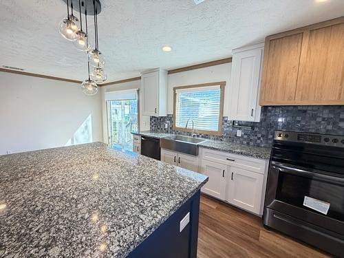 TX, PASADENA - 2022 LIZZIE multi section for sale. - double wide - in Pasadena, TX - photo 6 of 9