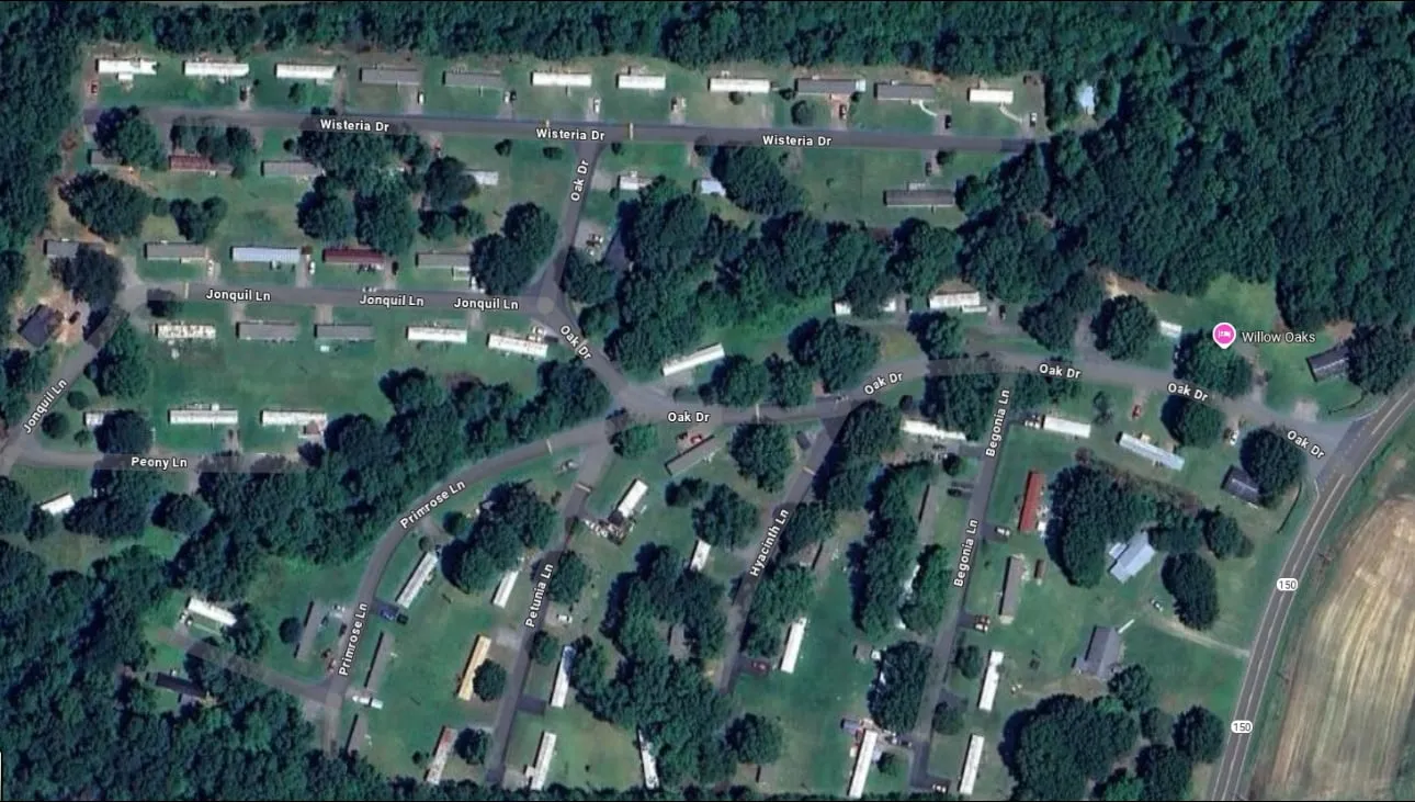 Willow Oaks