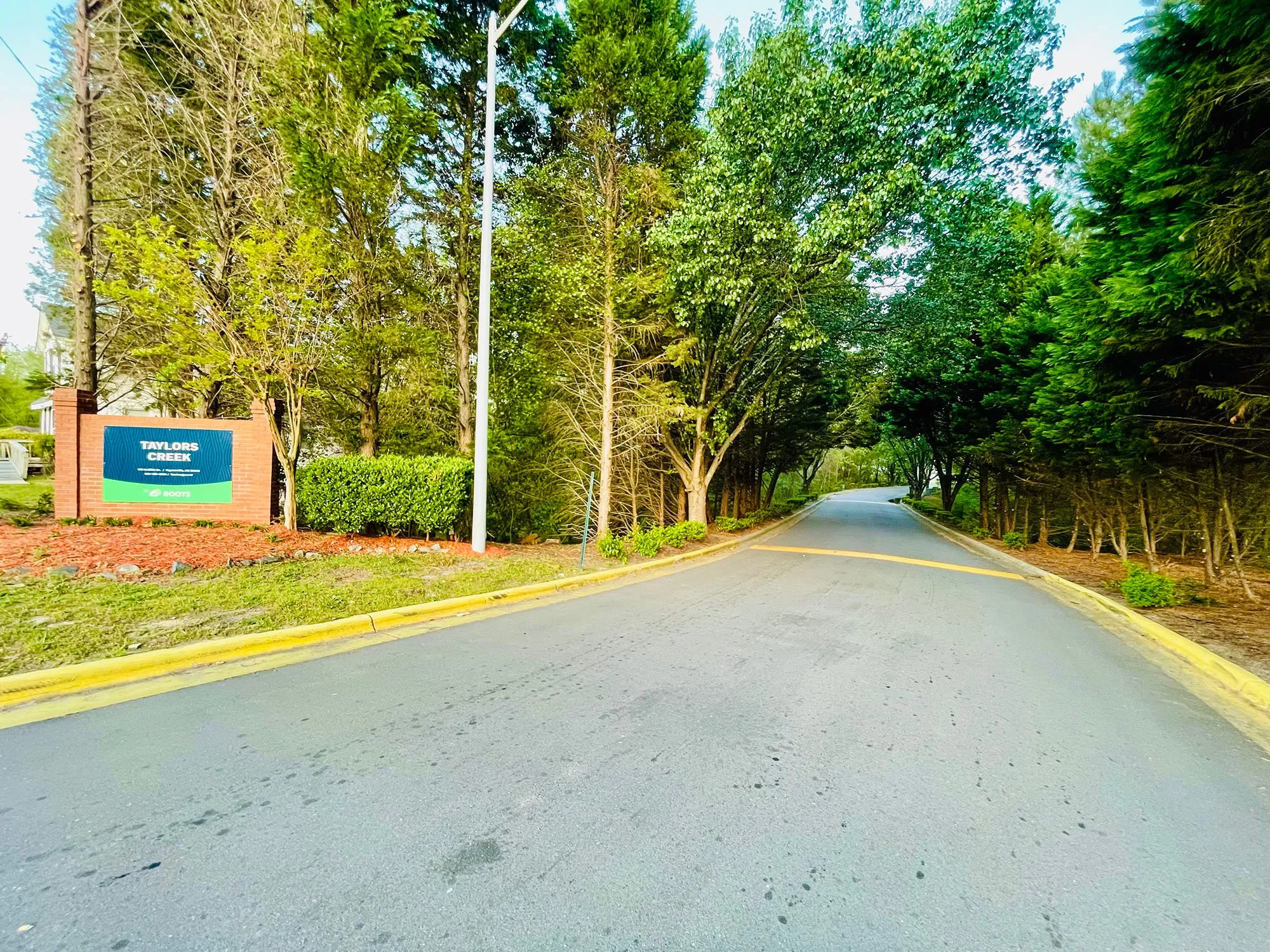 Taylors Creek